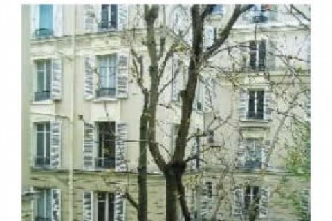 Wide and cosy parisian apartment. — photo 4