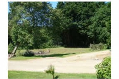 Maison de plein pied , sur 180 m² ... — photo 13