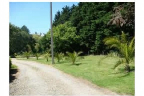 Maison de plein pied , sur 180 m² ... — photo 14