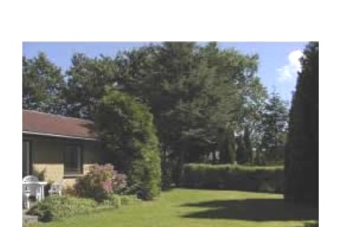 Wellness vacationhouse in southern ... — photo 9