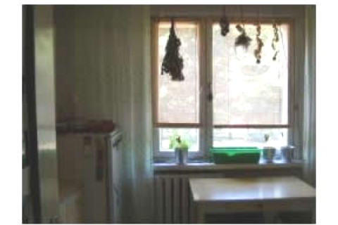 Es un piso con 1 dormitorio, cocina... — photo 3