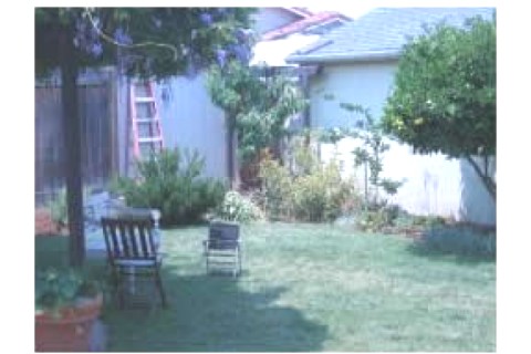 Beautiful, cozy 3 br, 2 bth Spanish... — photo 7