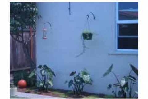 Beautiful, cozy 3 br, 2 bth Spanish... — photo 8