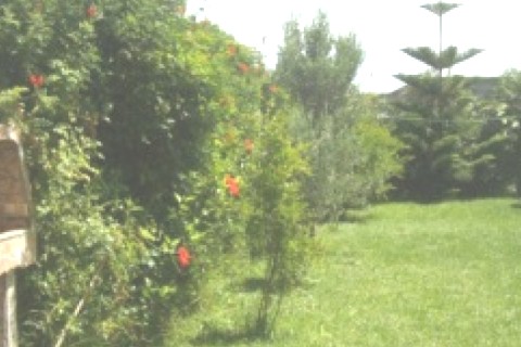 Petite villa au bord de l'ocean Atlantique et à 35 km de Casablanca — photo 2