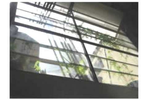 Loft in Montevideo city centre — photo 2