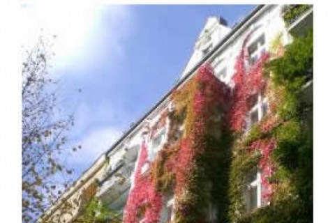 Sunny and cosy 2.5 bedroom maisonet... — photo 12