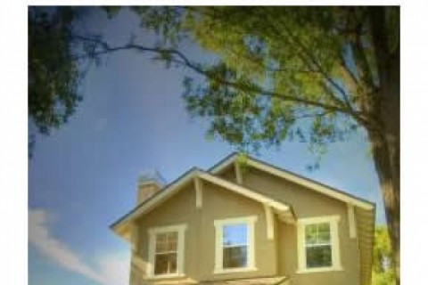 Brand-new spec home we built that w... — photo 4
