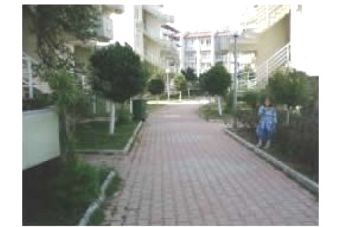 This house is our second one which ... — photo 3