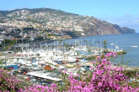 Apartment located on the beautiful sea view of Funchal — photo 10