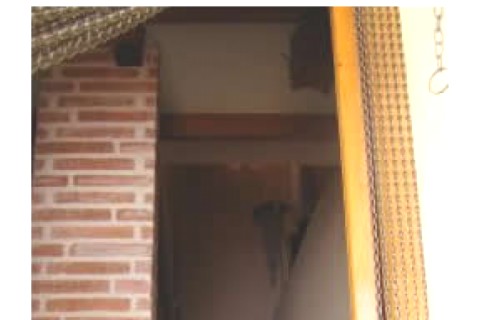 Casa en el centro de un pueblo de Salamanca — photo 6