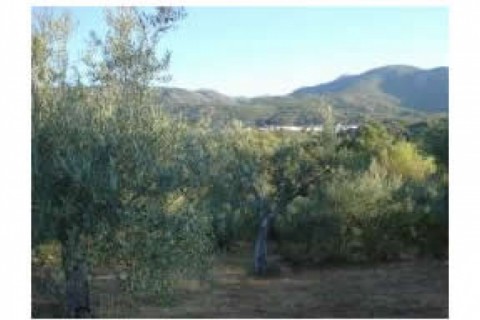 Casa de campo de 120 m2 en finca co... — photo 2