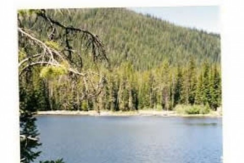 Lovely historic log lodge filled wi... — photo 16