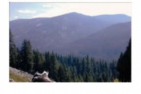 Lovely historic log lodge filled wi... — photo 17