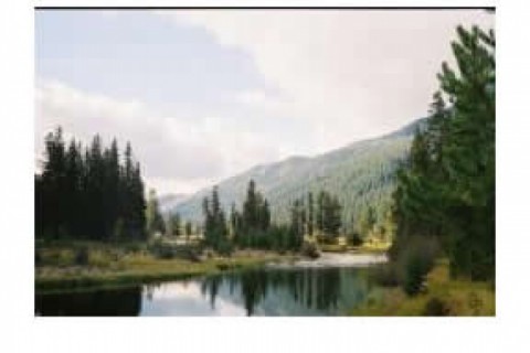Lovely historic log lodge filled wi... — photo 19