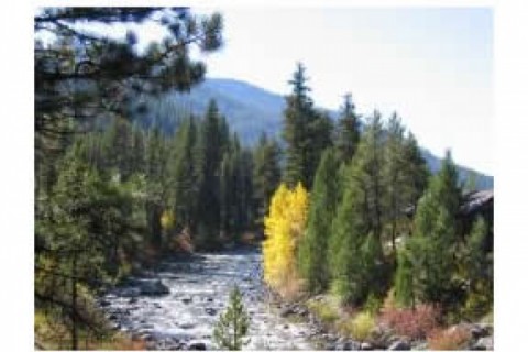 Lovely historic log lodge filled wi... — photo 20