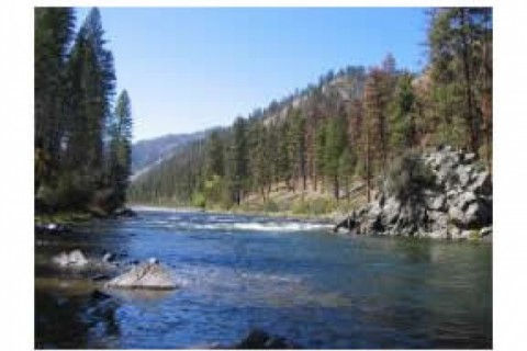 Lovely historic log lodge filled wi... — photo 21