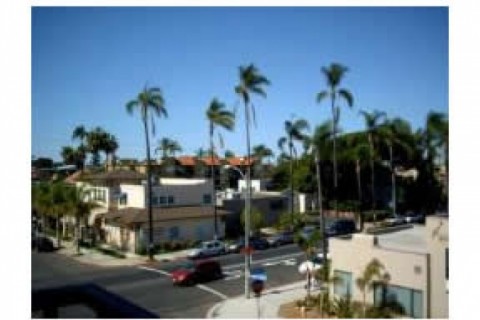 1 Bedroom 1 Bath Condominium in San... — photo 2