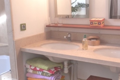 Big Flat at 15mn from Paris — photo 9