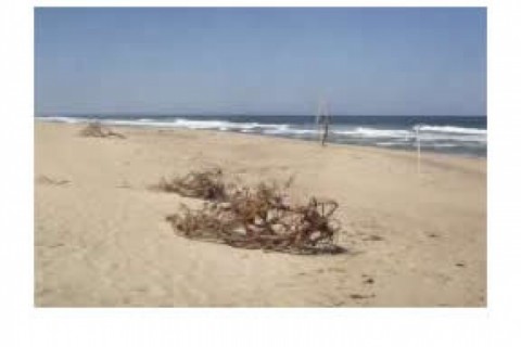 Cape Cod vacation house near ocean ... — photo 6