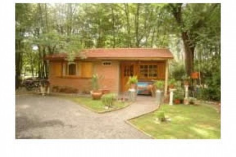 Cabañas y Chalets totalmente equip... — photo 12