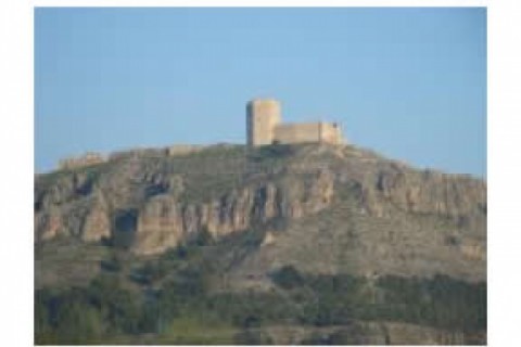 CASA EN JUMILLA (CENTRO DE MURCIA) — photo 17