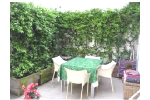 Appartement de charme en plein cent... — photo 6