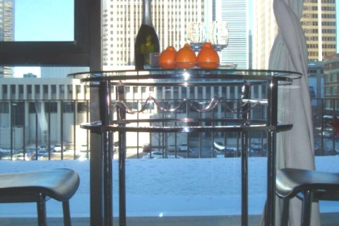 HEART OF DENVER SUITE — photo 6