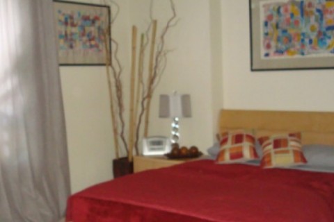 HEART OF DENVER SUITE — photo 3