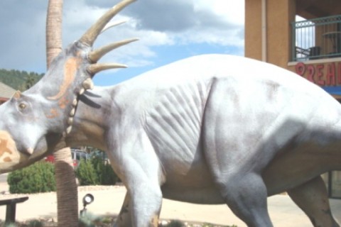 ROCKY MOUNTAIN RETREAT — photo 12