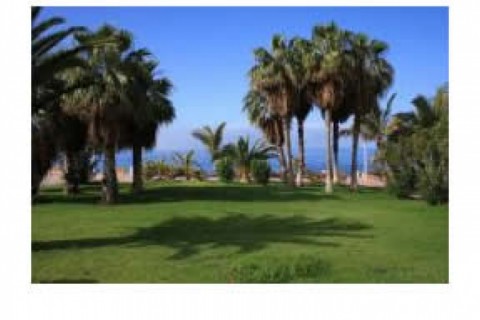 Bel appartement en face de la plage — photo 7