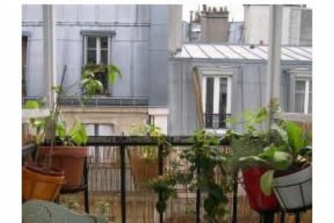 Situé au coeur de Paris — photo 5