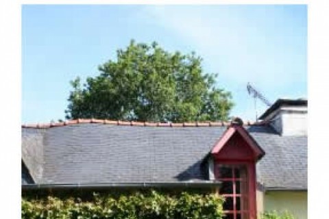 Maison pittoresque au bout d'un cul... — photo 2