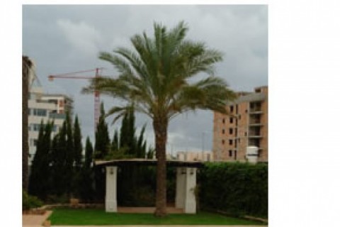 Apartamento en la ciudad de ibiza, ... — photo 6