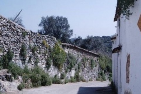 Casa rural a media hora de Sevilla — photo 13