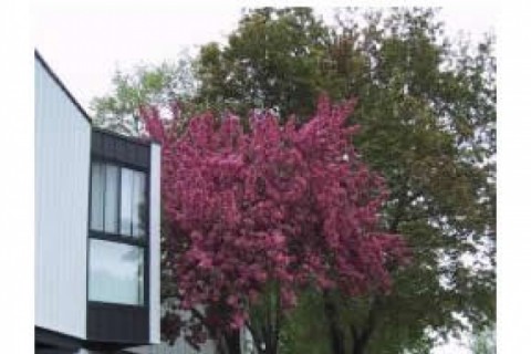 Logement de style condo, situé dan... — photo 2
