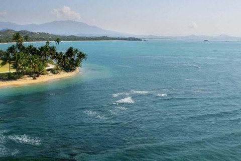 Appt de Palmas del Mar, Puerto Rico — photo 9