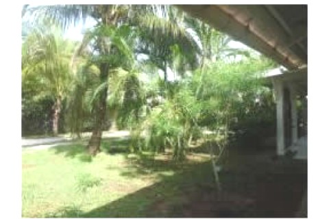 Casa con jardín privado y piscina a 10 minutos del centro de Cayenne — photo 10