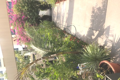 Villa plein pied mer — photo 5