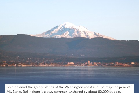 Our beautiful home in gorgeous Bellingham, Washington — photo 15