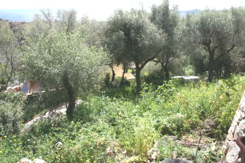 vista mare panoramica — photo 34