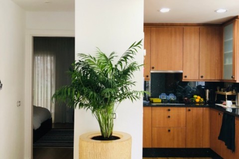 Loft con terraza, PLAYA Y CIUDAD — photo 4