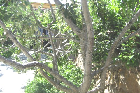 casa en Villatoro Avila — photo 9