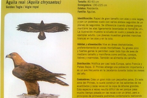 Jaca, Pirineo Aragones, Naturaleza, Románico, Gastronomia — photo 14