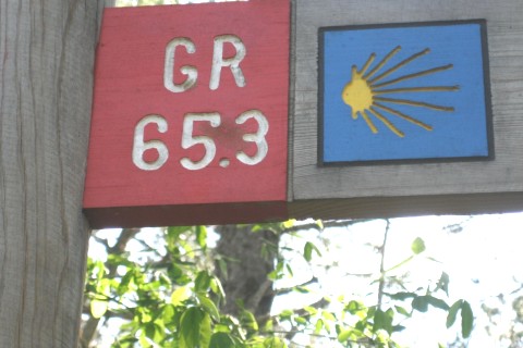 Jaca, Pirineo Aragones, Naturaleza, Románico, Gastronomia — photo 23