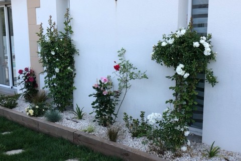 Maison proche Bassin d'arcachon — photo 2