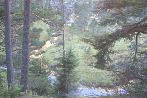 Maison familiale en montagne — photo 21