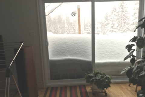 Maison dans les montagnes laurentiennes. — photo 11