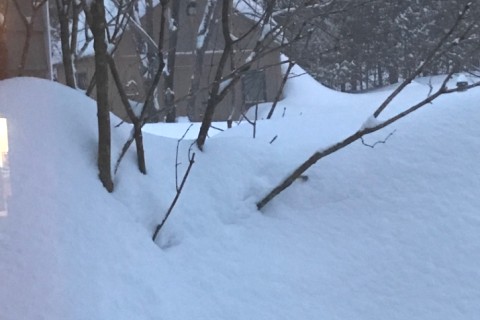 Maison dans les montagnes laurentiennes. — photo 12