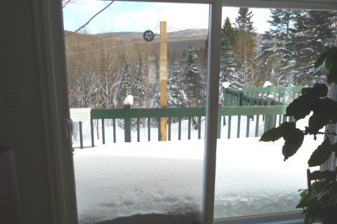 Maison dans les montagnes laurentiennes. — photo 13