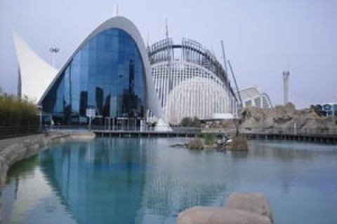 JUNTO A LA CIUDAD DE LAS ARTES Y LAS CIENCIAS — photo 6